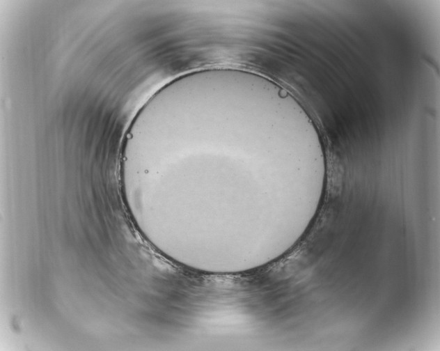 X0000103950956200810031342