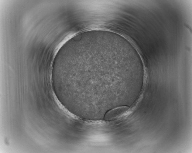 X0000103950957200810031342