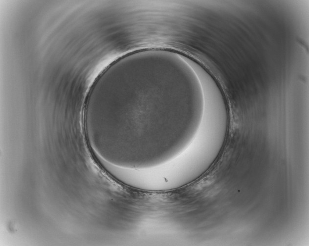 X0000103950958200810031342