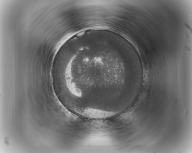 X0000103950959200810031342