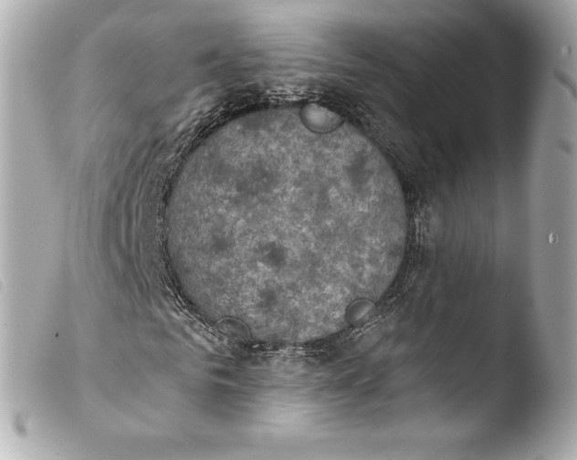 X0000103950961200810031341