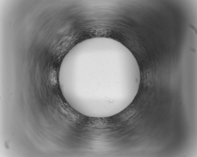 X0000103950962200810031341