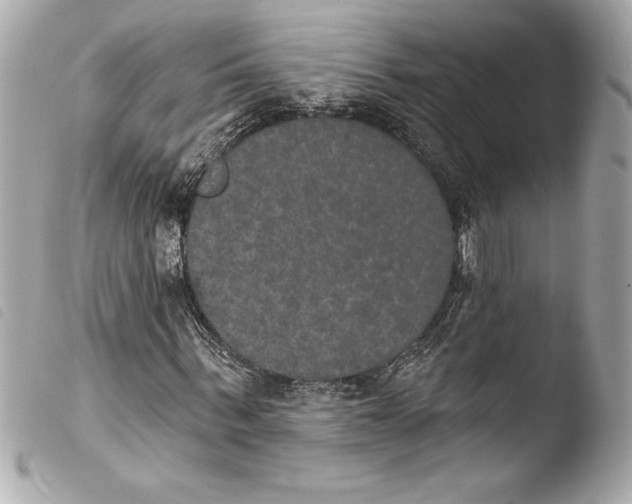 X0000103950963200810031341