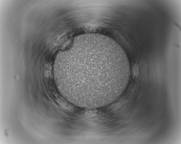 X0000103950964200810031341