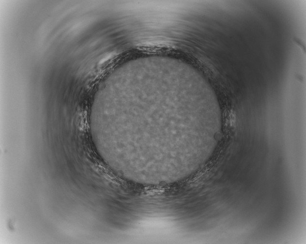 X0000103950965200810031341