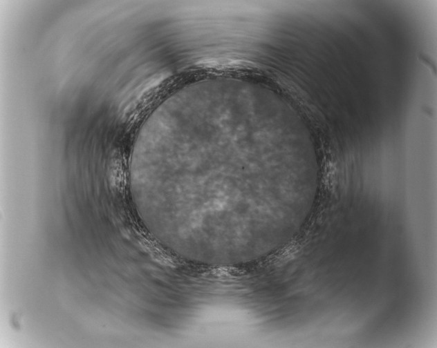 X0000103950966200810031341