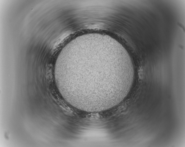 X0000103950968200810031341