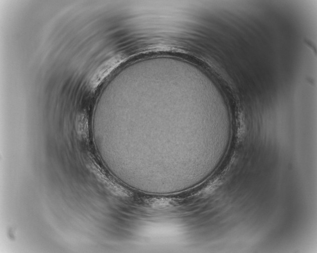 X0000103950969200810031341