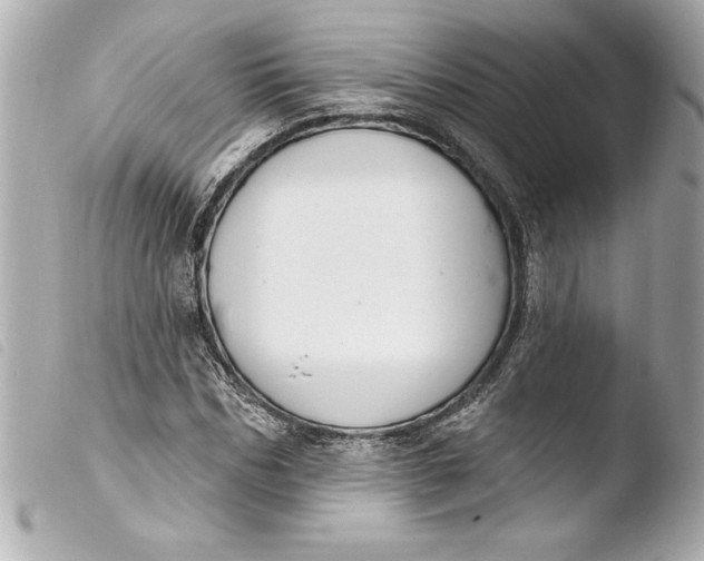 X0000103950970200810031341