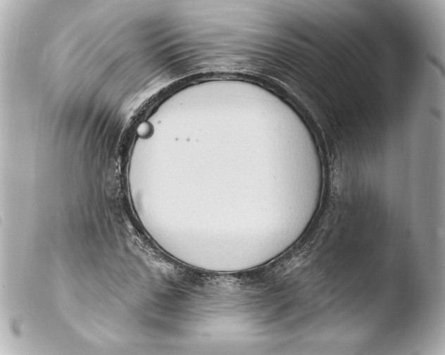 X0000103950971200810031341