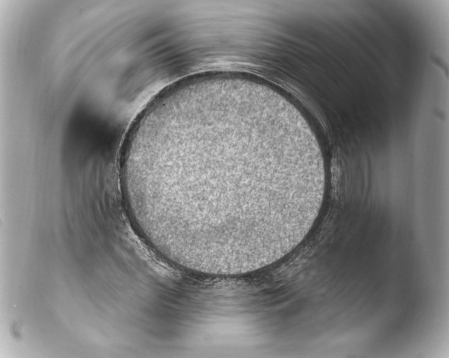 X0000103950972200810031341