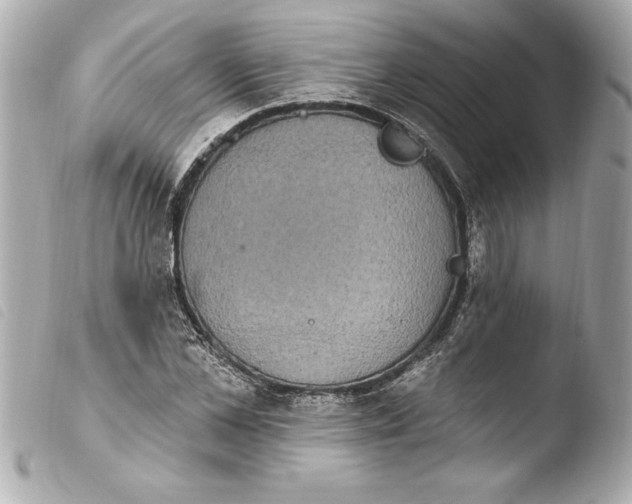 X0000103950973200810031341