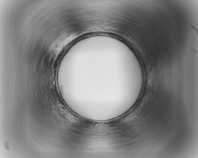 X0000103950974200810031341