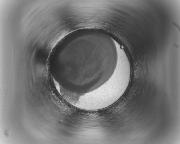 X0000103950975200810031341