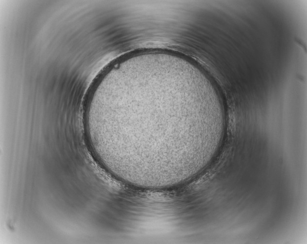 X0000103950976200810031341