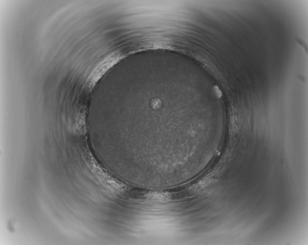 X0000103950977200810031341