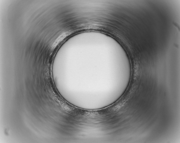 X0000103950978200810031341