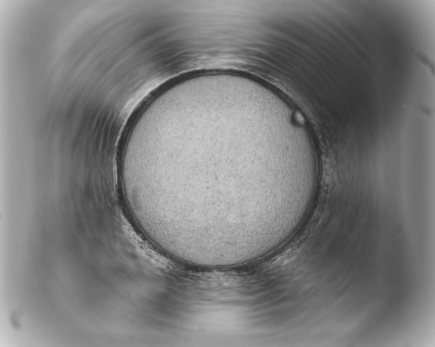 X0000103950980200810031341