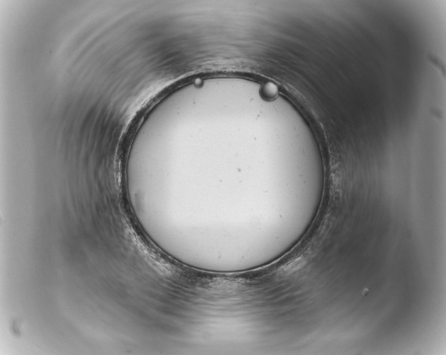 X0000103950981200810031341