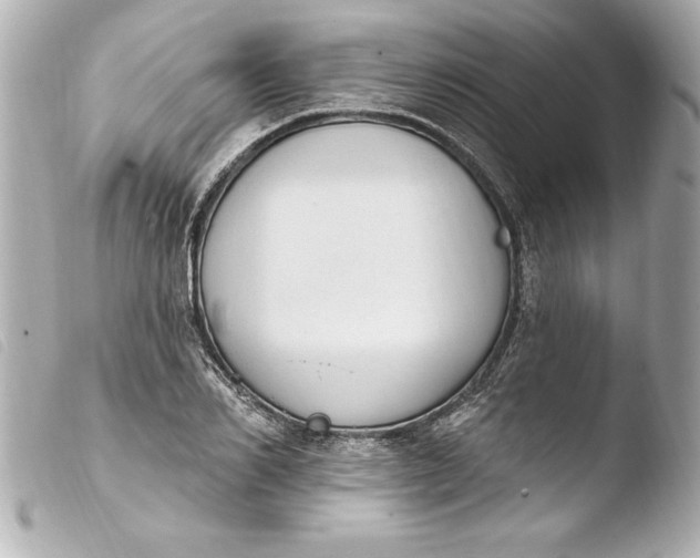 X0000103950982200810031341