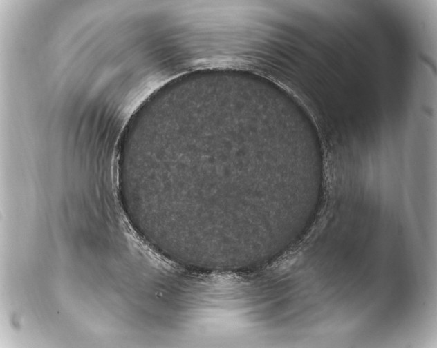 X0000103950983200810031341