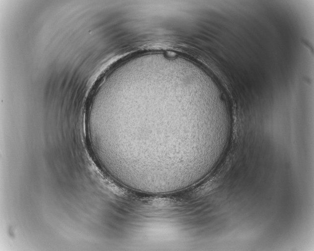 X0000103950984200810031341