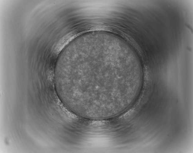 X0000103950985200810031341