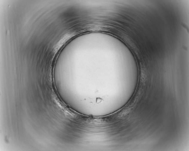 X0000103950986200810031341