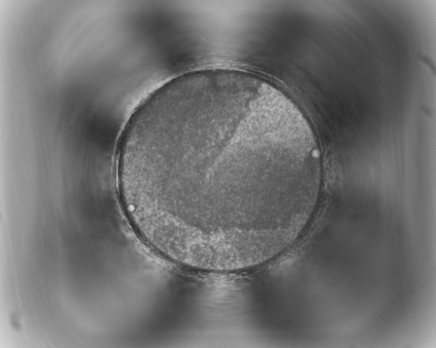 X0000103950987200810031341