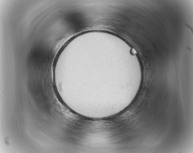 X0000103950988200810031341