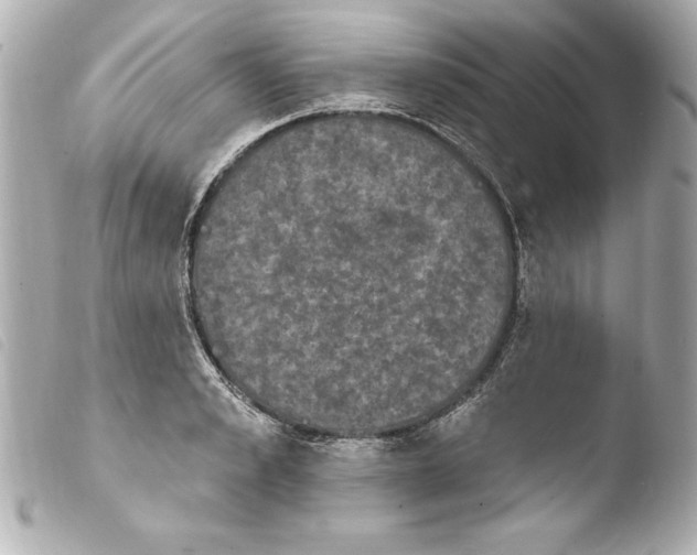 X0000103950989200810031341