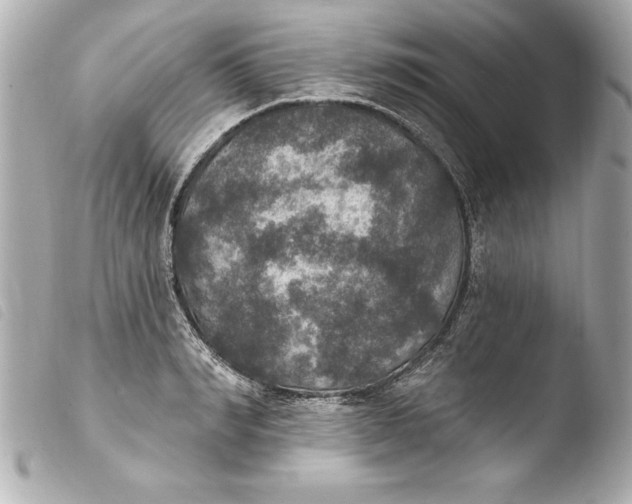 X0000103950990200810031341