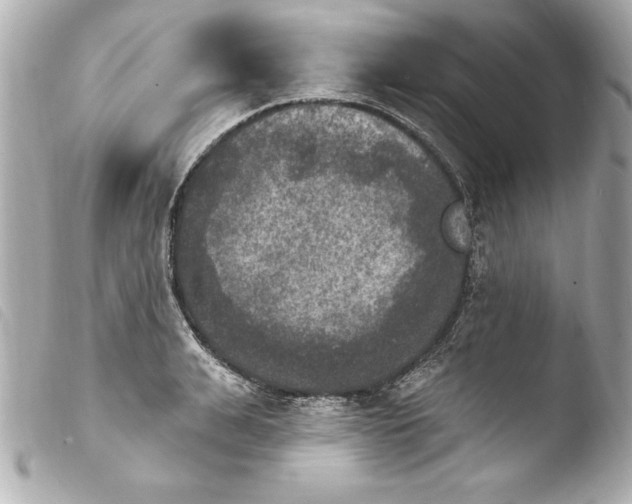 X0000103950991200810031341