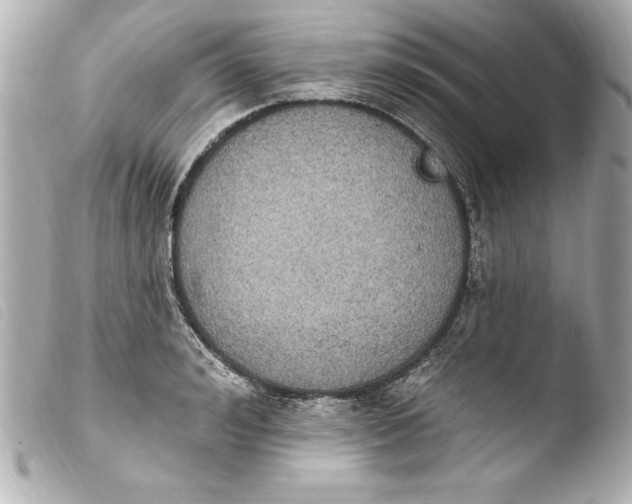 X0000103950992200810031341