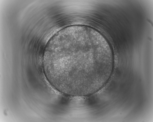 X0000103950993200810031341