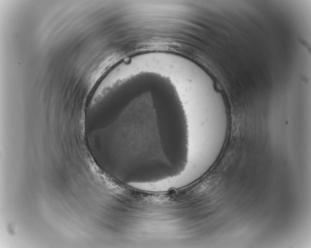 X0000103950994200810031341