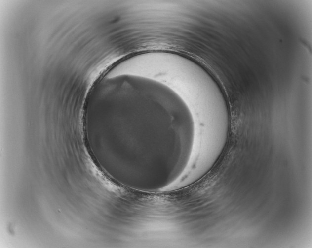 X0000103950995200810031341