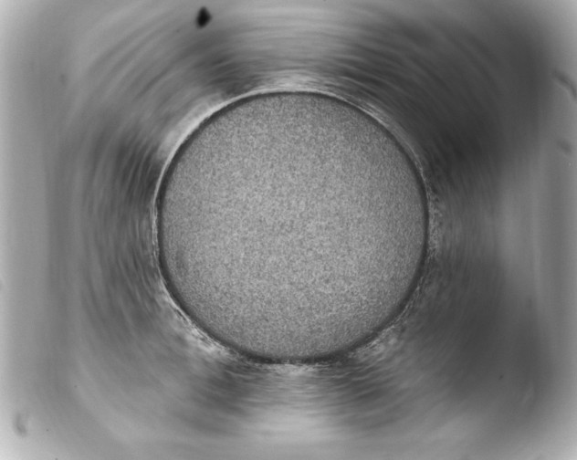 X0000103950996200810031341