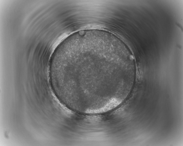 X0000103950997200810031341