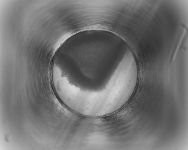 X0000103950998200810031341