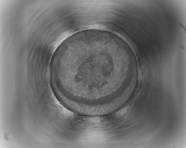 X0000103950999200810031341