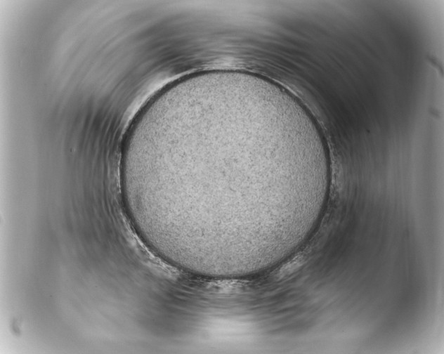 X0000103951000200810031341