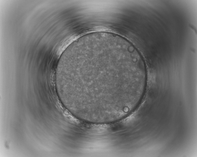 X0000103951001200810031341