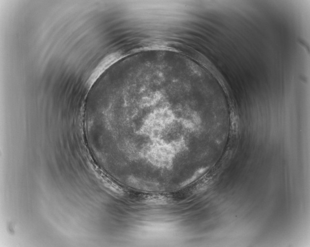 X0000103951002200810031341