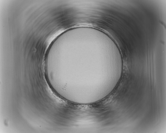 X0000103951003200810031341