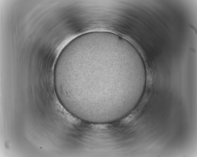 X0000103951004200810031341