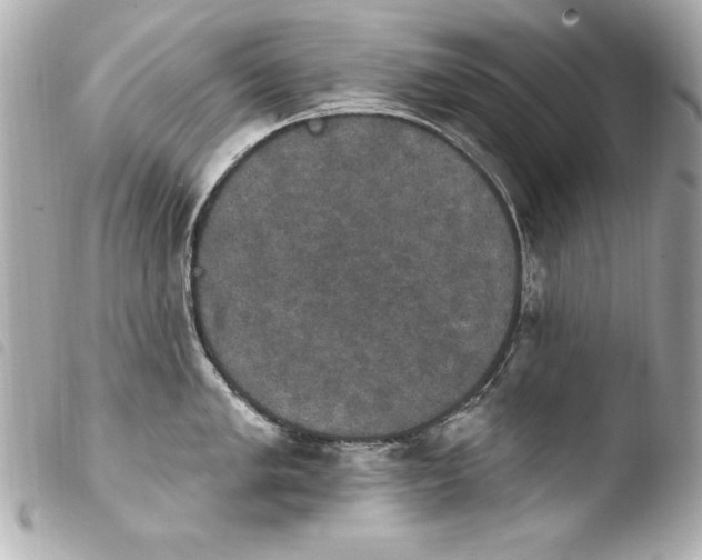 X0000103951005200810031341