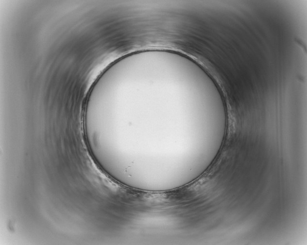 X0000103951006200810031341