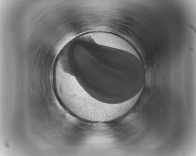 X0000103951007200810031341