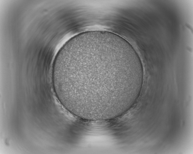 X0000103951008200810031341